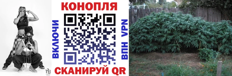 Где найти наркотики Кириши APVP  Экстази  Псилоцибиновые грибы  АМФ  Конопля  Меф  COCAIN 