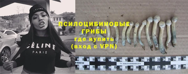 дмт Алексин