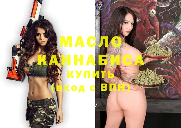 дмт Алексин