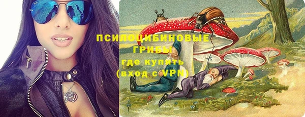 дмт Алексин