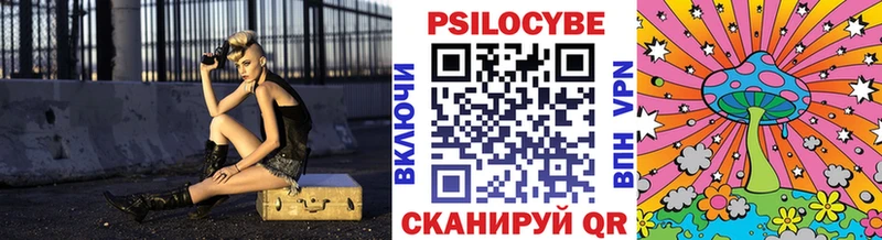 дарк нет как зайти  Кириши  Псилоцибиновые грибы Psilocybe  MEGA как войти 